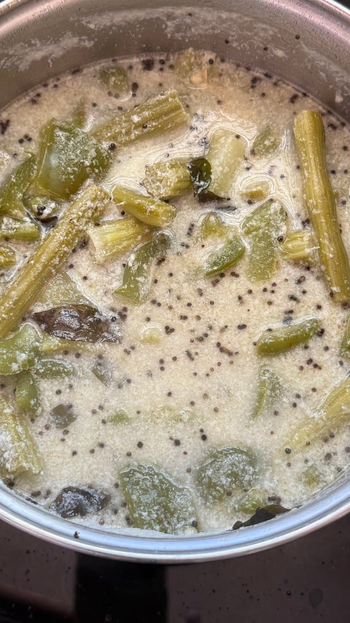 Nugge Kayi Capsicum Melara